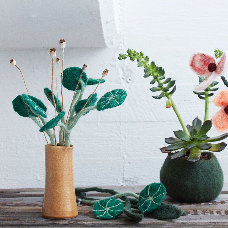 Aveva - Endless flower - Stephania