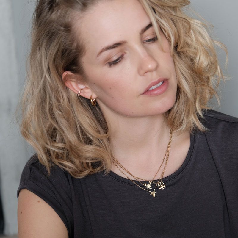 A&C - Kort kjede Zodiacs - Løven - Steel 14K