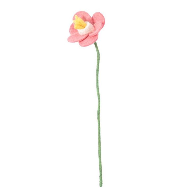 Aveva - Endless flower - Daffodil raspberry