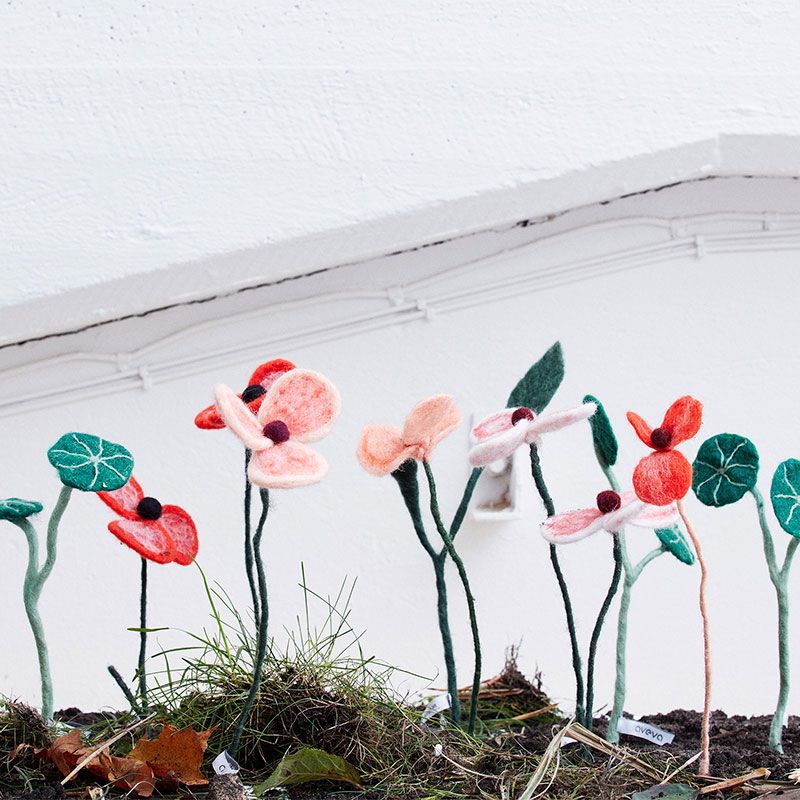 Aveva - Endless flower - Valmue fersken