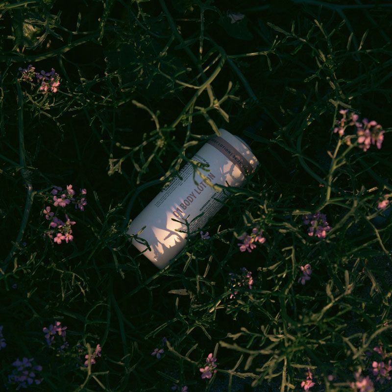 Humdakin - Body lotion 500 ml - Kamille & Tindved