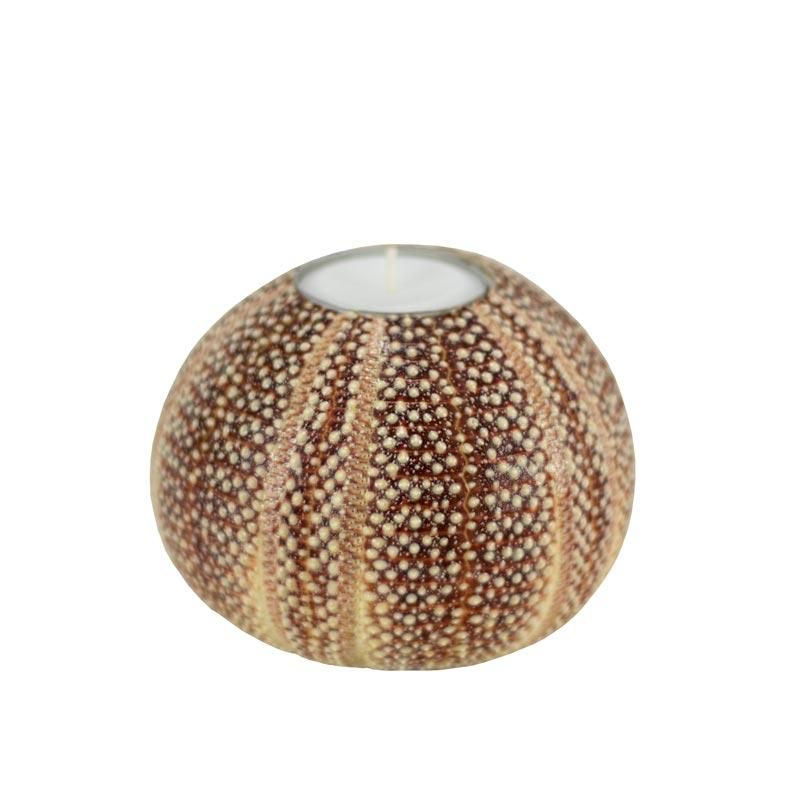 Nyt Lofoten - Kråkebollelys medium