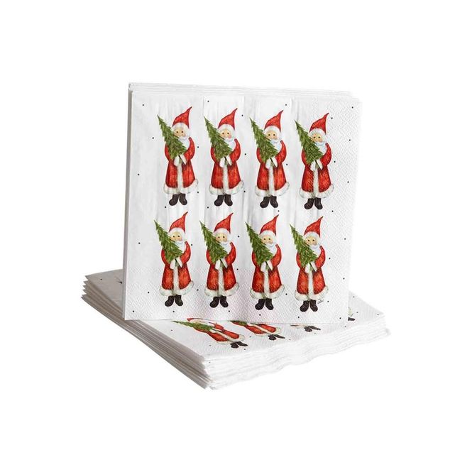 Hovedbilde Nääsgränsgården - Julefred lunsjservietter